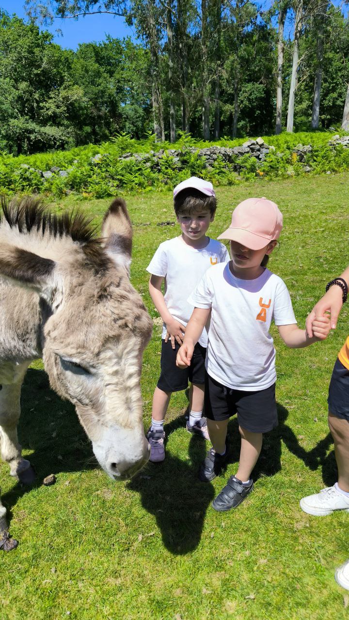 Excursión Fin de Curso 1º, 2º, 3º e 4º de Primaria
